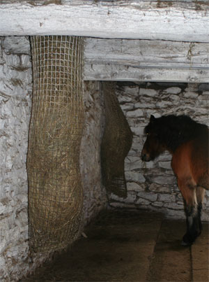 Horse Slow Feeder Made From Hockey Nets