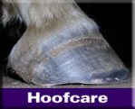 Natural Hoofcare