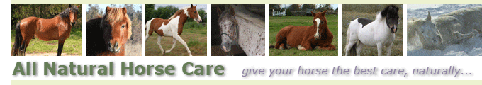 All Natural Horse Care header