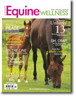 equine wellness magazine