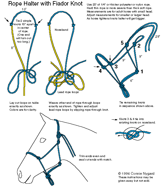 How To Tie Up A Horse: An Expert Guide