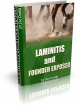 Laminitis and Founder Exposed