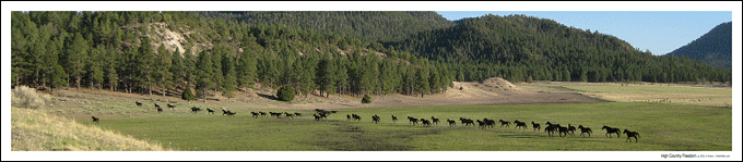 High country mural