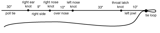 knot 1