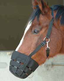 Grazing Muzzle