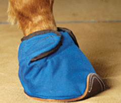 Equine Slipper