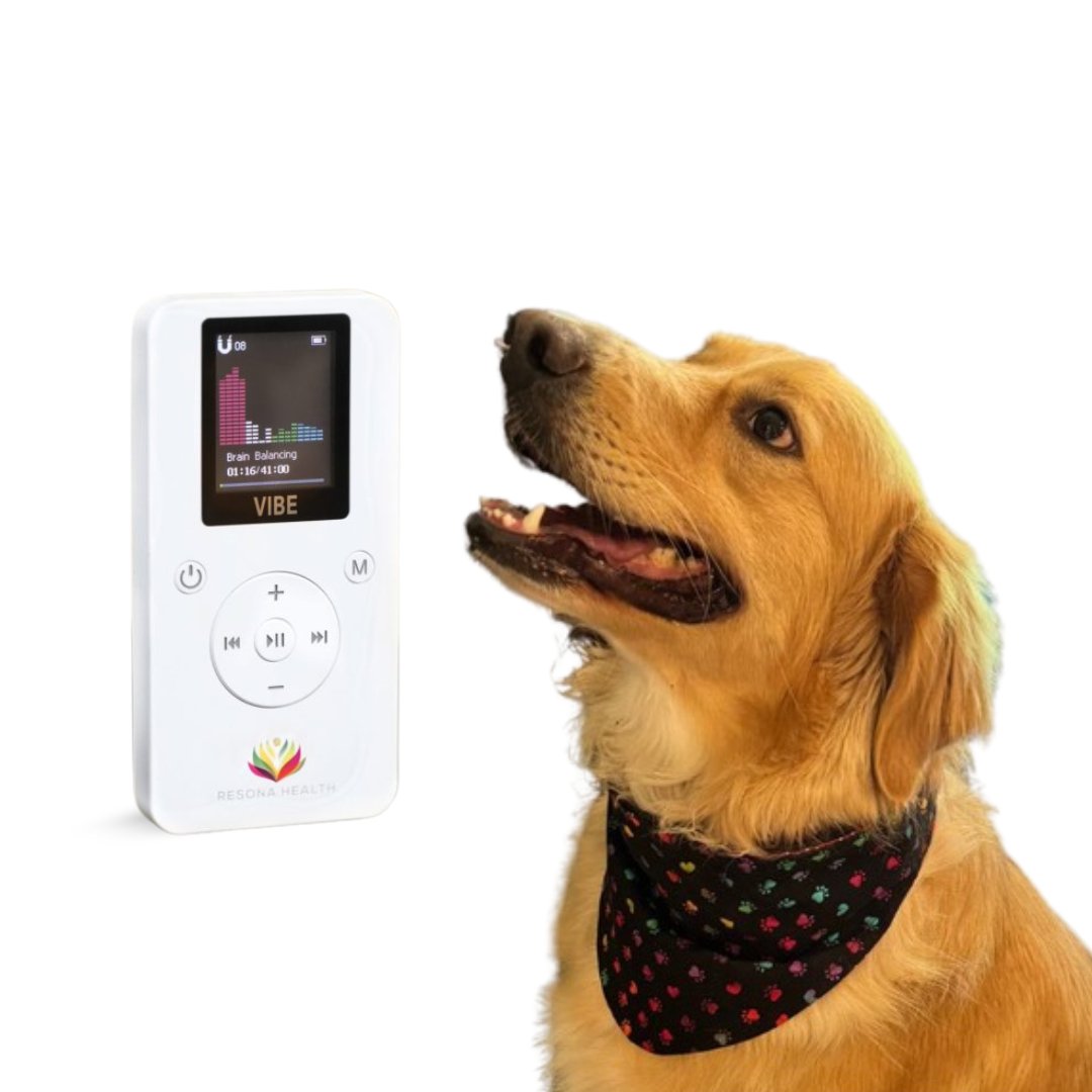 dog pemf