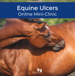 Equine Ulcer mini cinic ph