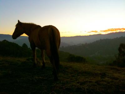 Enjoying the sunset