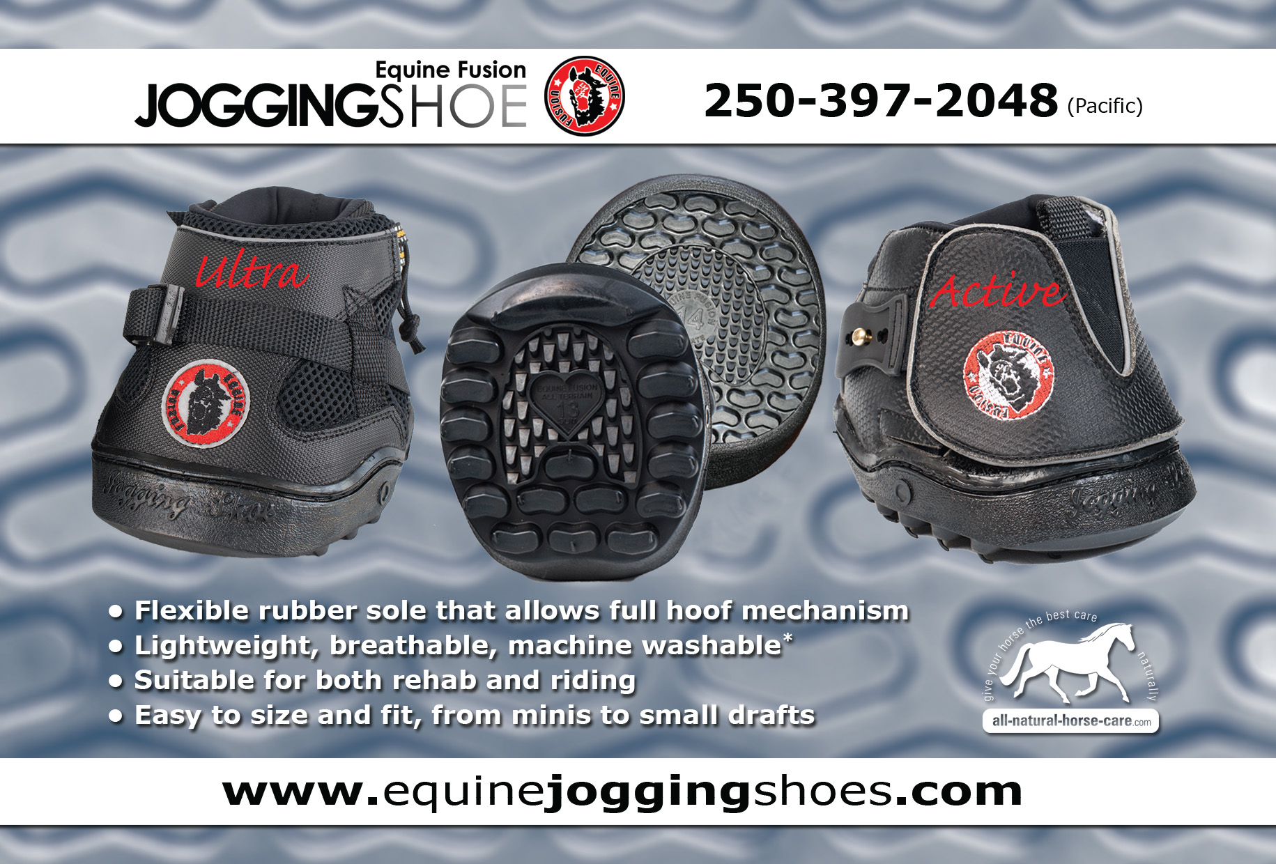 Equine Jogging Shoe Now available in Canada and the US