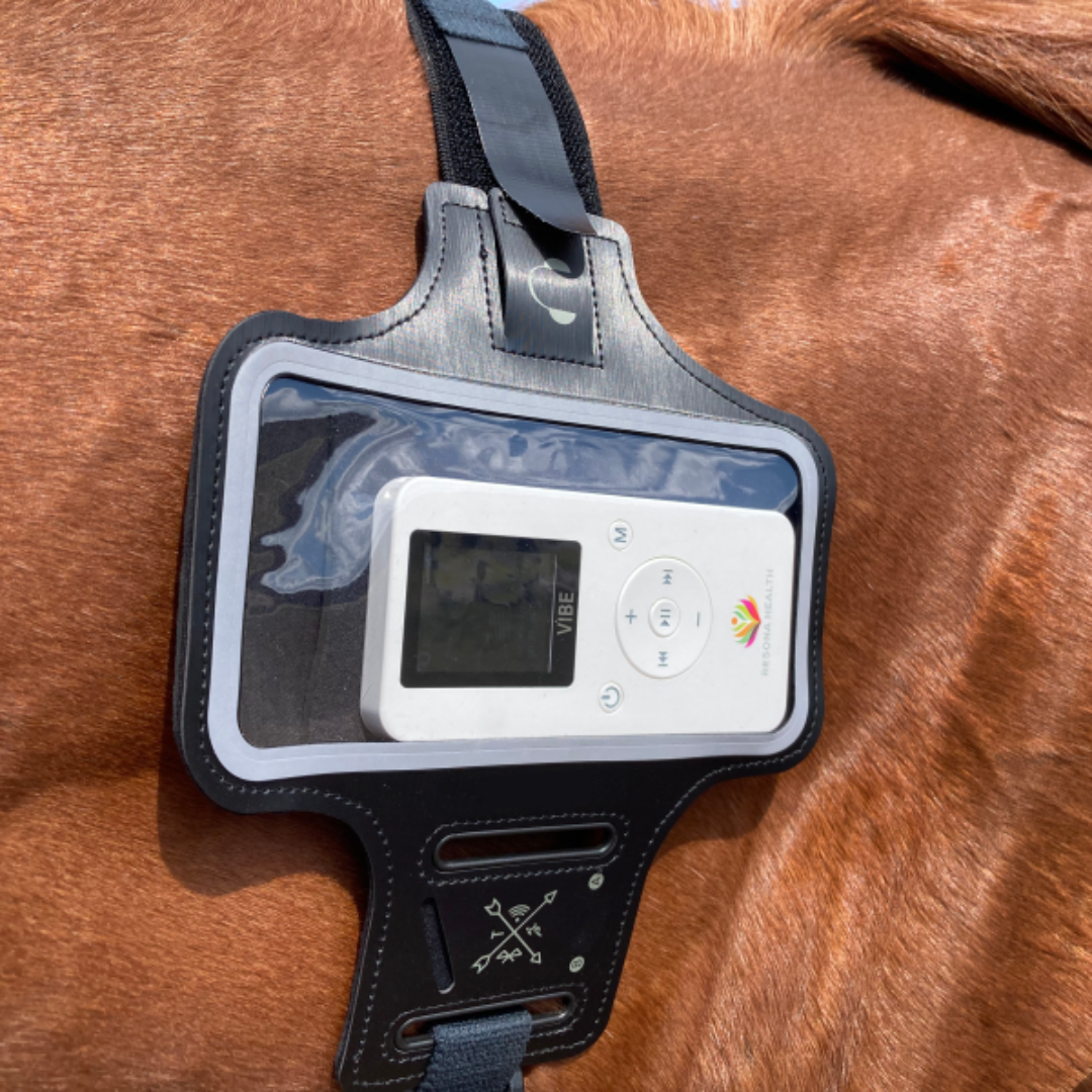 Equifit Band closeup