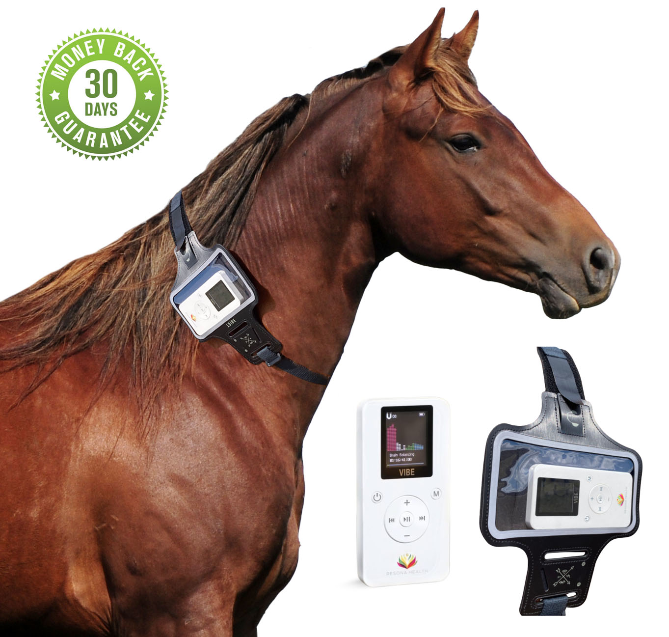 Equivibe bundle money back