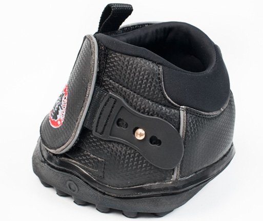 Equine Fusion Active Jogging Shoe