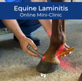 Equine Laminitis Mini Clinic PH