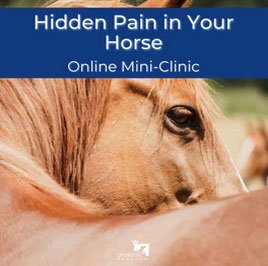 Hidden Pain Course PH