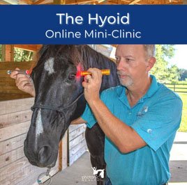 Equine Hyoid Mini Clinic PH