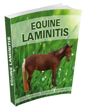 Equine Laminitis Ebook