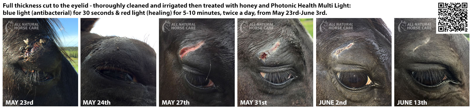 onyx eye cut