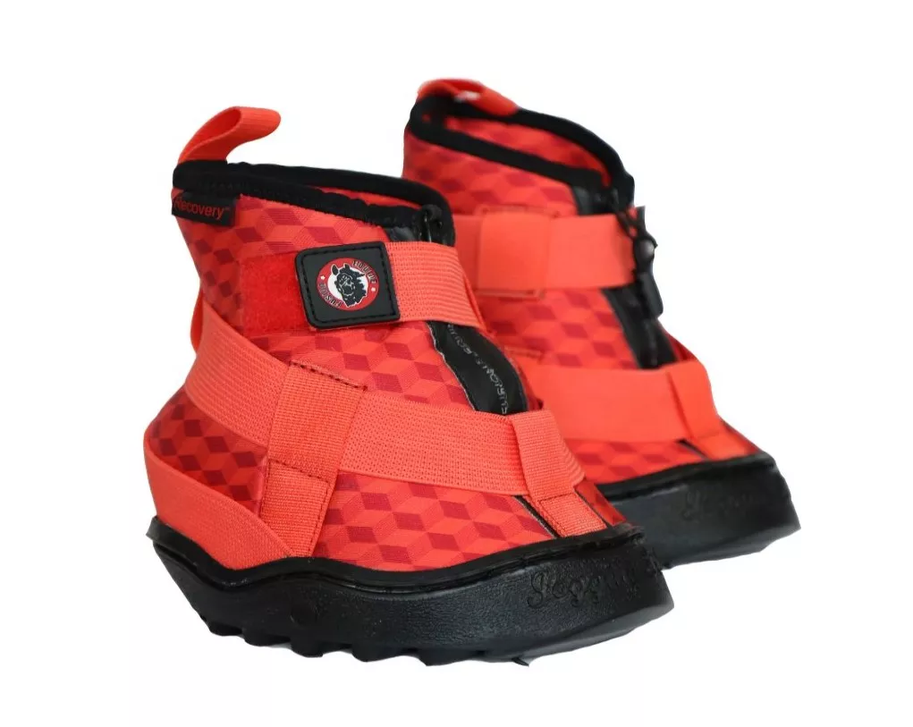 Equine Fusion Recovery Jogging Shoe