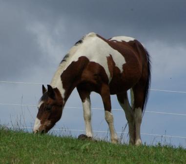 Oh, I love my grass!