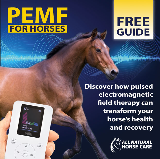 Free Guide to PEMF